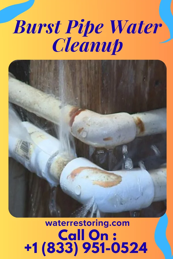 Burst Pipe Water Cleanup in Shelby, NC