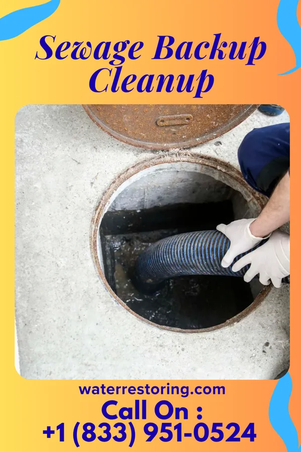 Sewage Backup Cleanup in Shelby, NC