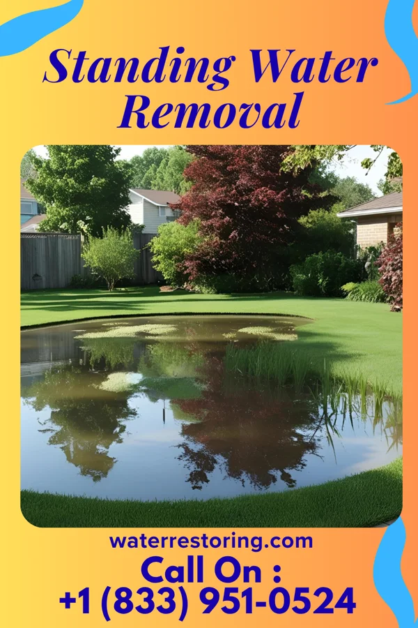 Standing Water Removal in Shelby, NC
